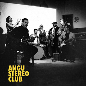 angu-stereo-club